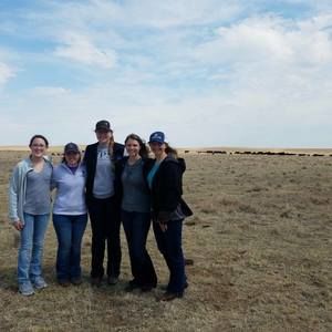 Meet your Posher, Morgan